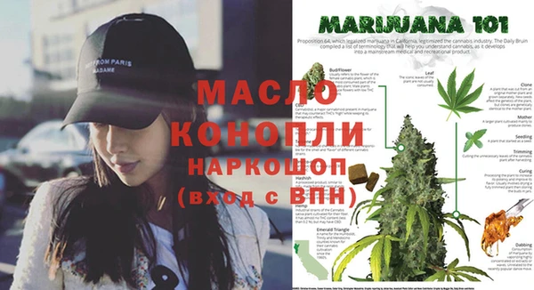 стаф Армянск