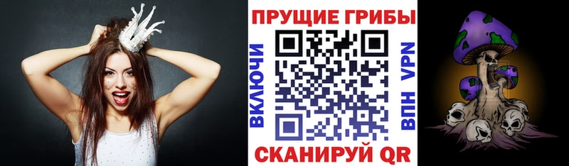 наркота  Калязин  Галлюциногенные грибы Psilocybine cubensis 